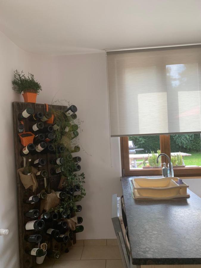 Les Hirondelles Apartment Wintzenheim Bagian luar foto