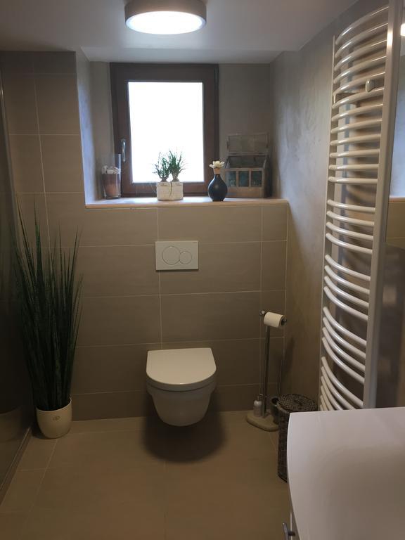 Les Hirondelles Apartment Wintzenheim Bagian luar foto